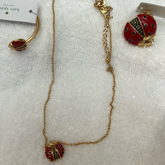 Boutique item not outlet
NWT’s Katespade complete ladybug jewelry collection - Picture 3 of 11